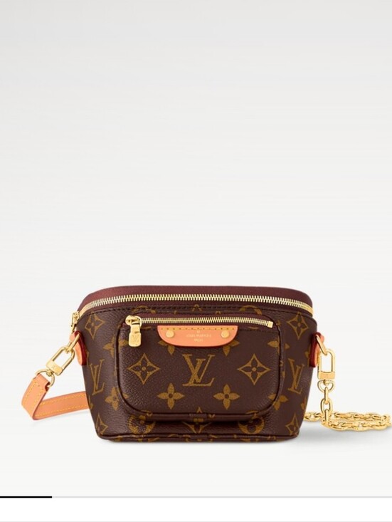 Louis Vuitton Handbags - Louis Vuitton Mini Bumbag in Monogram